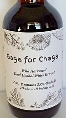  Wild Harvested Chaga Mushroom Double Extract Tincture 2 oz