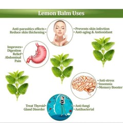 NeutraVed Lemon Balm Leaves 50gm H596
