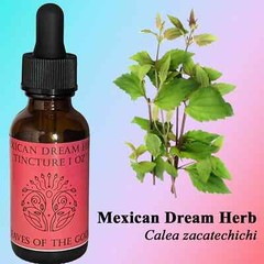 Mexican Dream Herb (Calea zacatechichi) High Quality!