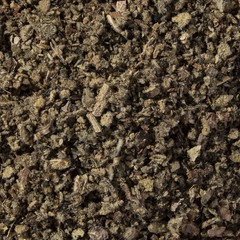 East Tennessee Mullein Leaf Wildcrafted Dried Cut ~ Verbascum Thapsus 2oz