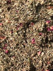 Red Raspberry & Rose & Red Clover & Marshmallow & Mullein – No.40 Blend