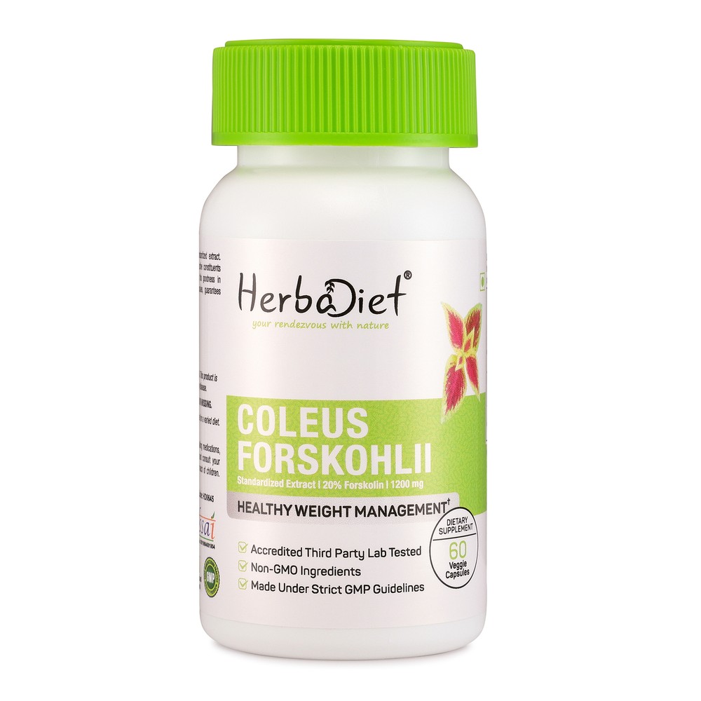 Forskolin Extract Coleus Forskohlii Capsules 20% Diet Weight Loss Fat Burner