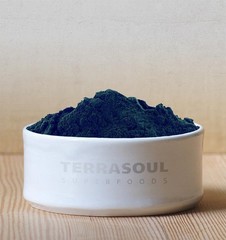Terrasoul Superfoods Organic 6 Ounce (Pack of 1), Blue & Green Algae