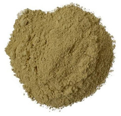 Bhumi Amla Powder Bhoomi Awla Phyllanthus Niruri Fillanto Niruhi Herbs