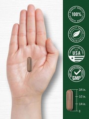 Pycnogenol 100mg | 30 Capsules | French Maritime Pine Bark Extract | by Carlyle