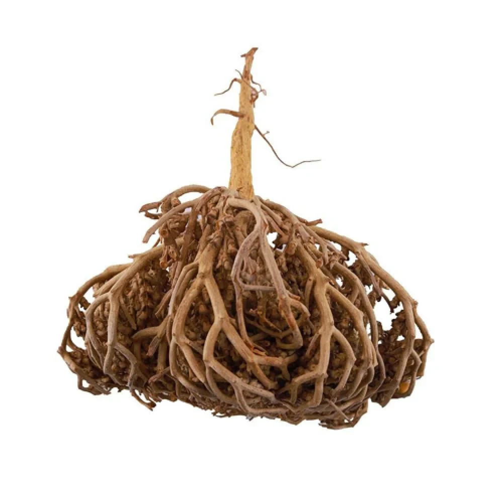 Dried Flower of Maryam (Kaf Mariam) – 100% Natural Chaste Tree Herb 454 gram 1lb