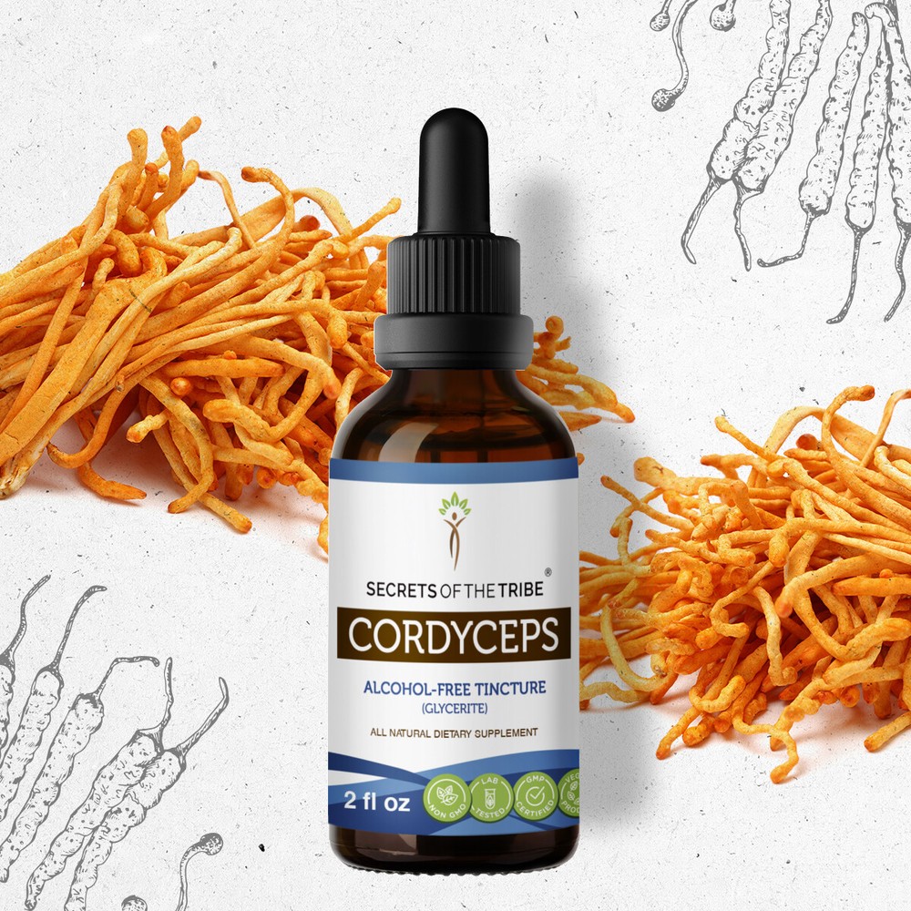 Secrets Of The Tribe Cordyceps Tincture Alcohol-FREE