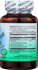 World Organic Chlorophyll 60mg 100 caps – EXP 03/2027
