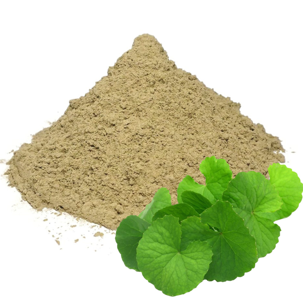 Gotu Kola Leaf Powder | Organic Centella Asiatica | Brain Health | Natural Herb