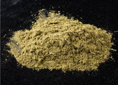Wormwood Herb or Powder | Organic Natural Herb | 1/4/8oz | Digestion Cleanse Aid