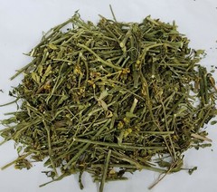 RUDA HIERBA/RUE HERB (Ruta graveolens) 1 PACK X 30 GR GOOD QUALITY FROM PERU!