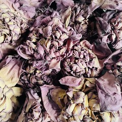 Ceylon Dried Pink Lotus Flower (Nelumbo Nucifera) Hand Packed Natural Organic ☕