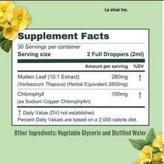 Mullein Leaf Extract Drops formulated with Chlorophyll for Lung & Respiratory He
