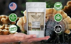 Turkey Tail Mushroom Extract 60% Polysacharrides Boost Gut Health 100G Powder