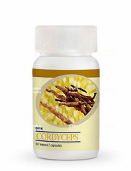 3 Bottles DXN Cordyceps 60 Capsules Cordyceps Sinensis Immunity Stamina Booster
