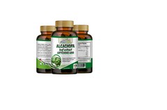 Alcachofa Control Weight Loss Antioxidant 60 Pills Slim Fat Burner #1 BEST 120
