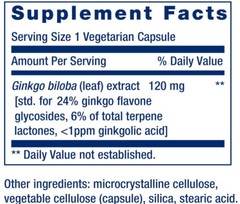 GINKGO BILOBA CERTIFIED EXTRACT 120mg 365Cap MEMORY BRAIN SUPPORT LIFE EXTENSION