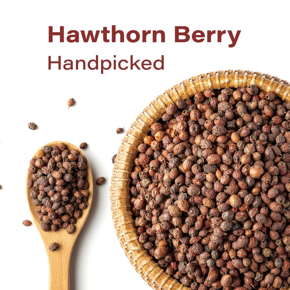 Whole Hawthorn Berries Dried Crataegus Monogyna – Herbal & Culinary Use