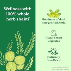 Organic India Amalaki 60 Veg Capsules x 3 Natural Vitamin C Herbal Supplement