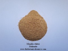 Mondia whitei – common names Entengo / Mulondo / Mukombero