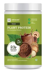 Wellversed Plant Protein (500g) | High Potency | 100% Vegan
