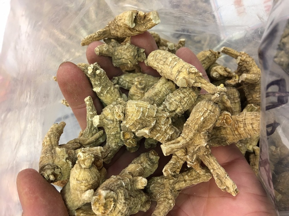 Half Wild American Wisconsin 7 years Ginseng 正宗美国威州半野生花旗参(7年小泡参)-U.S Seller