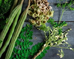 Moringa Seeds for Planting | Non-GMO from India Very Fresh | Free shipping