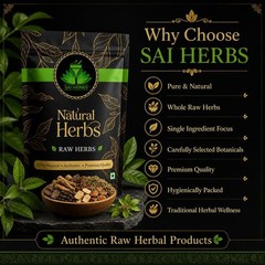 SAI HERBS Arugula Seeds – Good for Healthy Lifestyle, Supports Overall Wellness