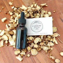 Organic Stress Resilience Tincture 1 oz Herbal Extract | Tulsi, Rose & Linden
