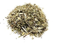 Boneset BULK HERBS 1 lb.