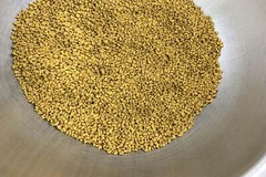 Organic ِEgyptian Premium Fenugreek Seed Methi Trigonella foenum graecum حلبة