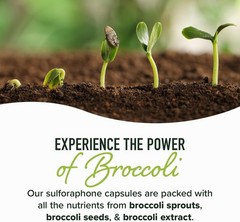 50MG Sulforaphane Supplement from Broccoli Sprouts | NRF2 Activation,…