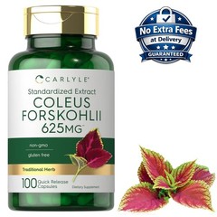 Coleus Forskohlii 625mg 100 Cápsulas Extracto de Raíz 100 Porciones