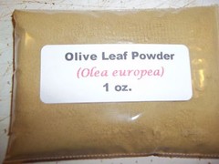 1 oz. Olive Leaf Powder (Olea europaea)