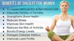 Shilajit Top Quality 100% Pure from Pakistan Gilgit Salajeet Himalayan 100 gram