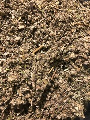 No.35 Herb Mix – Mullein Skullcap Sage Uva Ursi Spearmint Coltsfoot Herb – 4 oz