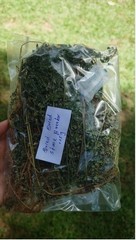 +25g Dry Stone Breaker Phyllanthus Niruri Chanca Piedra Pure Natural Dried Herb