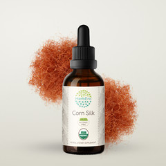 HerbEra Corn Silk Alcohol-FREE Tincture, Organic Corn Silk (Zea Mays)