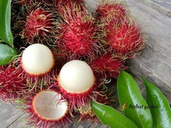 5 Seeds Rambutan Nephelium Lappaceum Sweet Juicy Tropical Malaysia Edible Fruits