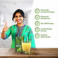 Organic Tattva Gooseberry Amla Powder 100g Free Shipping