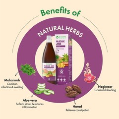Dr. Vaidya’s Pilocare Juice 950ml,Ayurvedic Piles Care Medicine Natural Treatmen