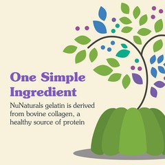 NuNaturals Unflavored Beef Gelatin Powder, Instantly Thickens, Stabilizes, and T