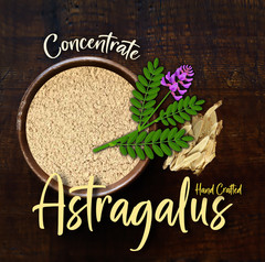 Astragalus Root Powder – High Potency Immune & Energy Herb – USA Made
