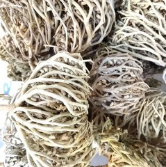 Flower Of Maryam Chaste Tree Herbs Palm Of Mary 100% Natural عشبة كف مريم