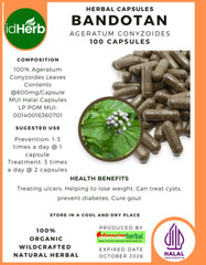 [idHerb] CAPSULES Ageratum Conyzoides Bandotan NATURAL ORGANIC FRESH