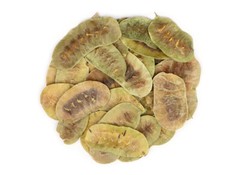 WHOLESALE!! CULINARY SENNA PODS WHOLE DRIED NON-GMO BULK HERB-1,2,3,4,5 LBS
