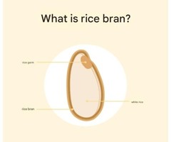100% Natural Rice Bran Powder 300g Organic Powder Brightening Skin Care 볶은미강가루