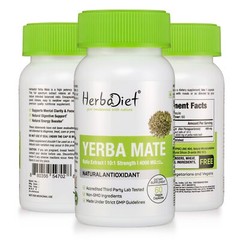 Yerba Mate Extract Capsules 10:1 Stimulant Energy Booster Fat Burn Immune Boost