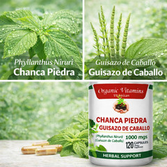 Chanca Piedra 1000mg with Horsetail Extract 120 Caps | Phyllanthus Guisazo Detox