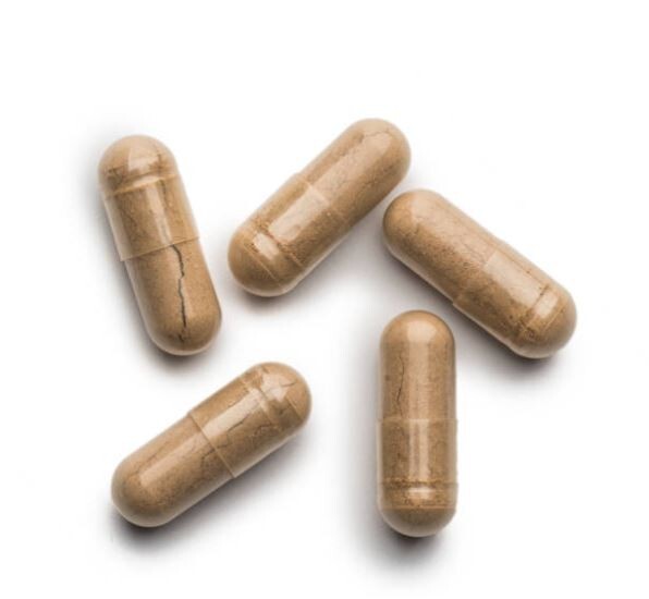 Artemisia 100% Organic Extract Capsules Premium Herbal Supplement Free Ship